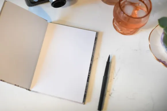 カジノ ミスター ベガス サポート